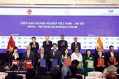 Vietnam increasingly pro-active in advancing ties with Asian partners: International media